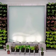 An elegant indoor green wall we designed to frame a serene water feature in a corporate lobby. This installation combines nature and modern design, creating a calming and sophisticated atmosphere for employees and visitors.