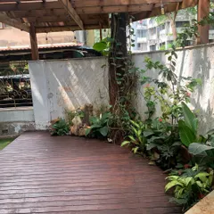 This space features a wooden deck under a pergola, with a climbing vine starting its journey up a tree trunk.