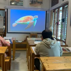 Observation is the first step in drawing. In this session, a student carefully studies the movement and form of a turtle projected on screen, a practice that hones the eye for detail required in realistic art.