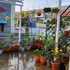 Here is a finished terrace garden that makes me so proud. I used a mix of floor planters, multi-level stands, and colorful hanging pots to create depth and visual interest, turning this rooftop into a beautiful, relaxing oasis for my client.
