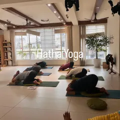 A Hatha Yoga class in session. Here, participants are in Balasana (Child's Pose), a restorative posture that encourages surrender and introspection. We use props like blocks and bolsters to ensure comfort and support for every body.