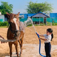 A young girl takes charge of the hose, giving a horse a cool spray of water. This is a hands-on, memorable experience for children.