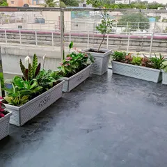 This is our garden transformation at Meena Regalia, where we lined the balcony with elegant planters. We used a variety of live plants with different colors and textures to create a vibrant and enchanting garden with a view of the city.