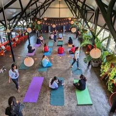 An overhead view of our puppy yoga class. Look at all the colorful mats, happy people, and adorable pups. This is what community and unconditional love look like.