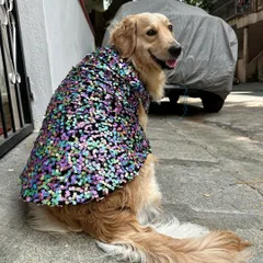 Look at that happy face. This sitting pose shows how the garment doesn't bunch up, a detail that comes from taking exact measurements. Whether it's for a photoshoot or a family function, your pet will be comfortable and ready for their close-up.