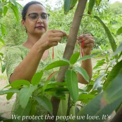 "We protect the people we love. It's time to protect the planet we live on." This powerful message captures the spirit of our Rakshabandhan campaign, urging everyone to extend their circle of care to include the environment.