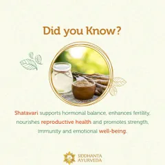 Shatavari is an indispensable herb in my practice for women's health. It is exceptional for supporting hormonal balance, enhancing fertility, and nourishing the reproductive system, promoting strength and emotional wellbeing.