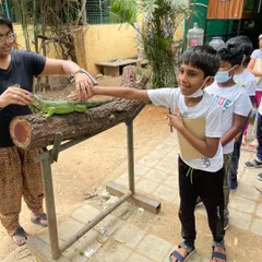 A student gently touches an iguana under the careful supervision of a guide at the sanctuary. This hands-on encounter helps demystify reptiles and sparks scientific curiosity about different animal species.