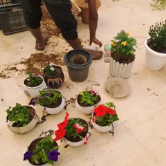 The hands-on work of creating a beautiful garden. A member of our team is potting seasonal flowers into hanging baskets, a small but important detail that adds color and life to a terrace garden.