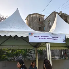 Our "Flying Wonders" booth is all set up for a school event. We bring all the materials and expertise needed to run engaging STEM activities anywhere.