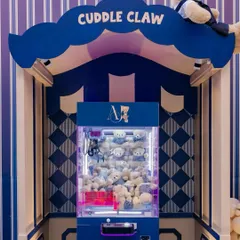 The "Cuddle Claw" arcade game was a huge hit, allowing kids to win their own teddy bear prize, making for a fun activity and a memorable party favor.