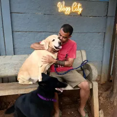 This is Cookie, just before he left for his new life in Canada. It’s more than just adoption; it’s about making a real connection. I get to know every animal personally, so I can help you find a companion who truly fits your life.