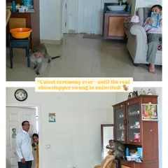And then, this happened. An uninvited monkey swung in, helped himself to the fruit, and gave the entire family a story they will never forget. Capturing the unexpected is part of the fun.