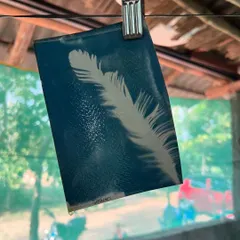 A delicate feather photogram made with the cyanotype process. It was a joy to watch the children of Garike explore their creativity with this sun-printing technique.