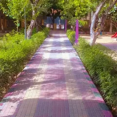 A well-maintained walkway at Mehndi Park in Gurgaon, lined with trimmed hedges. Our public park maintenance contracts cover the complete care of pathways, lawns, and planted areas.