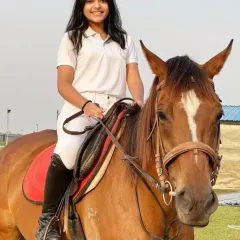 A close-up of a confident rider. Our lessons focus on correct posture and clear communication with the horse.