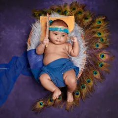 A divine little miracle. I can create beautiful, respectful setups for cultural themes, like this Little Krishna concept with peacock feathers and a tiny flute.