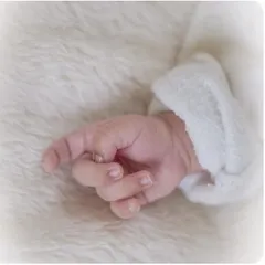 A close-up of a newborn's delicate hand. These detail shots are a beautiful add-on to any newborn session.