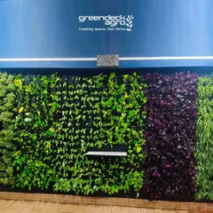 The completed vertical garden in a Balewadi flat, showcasing a beautiful tapestry of different plant textures and colors. This living wall serves as a stunning piece of natural art inside the home.
