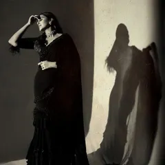 This dramatic, high-contrast shot for a photoshoot plays with light and shadow to create a mysterious and glamorous mood. The flowing black saree with fringe details becomes a key part of the artistic composition.