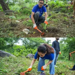 Marsh India volunteers digging in. We ensure everyone learns the correct technique for planting saplings to maximize their chances of survival.