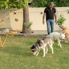 Beating the Delhi heat with some water masti! Our large, grassy lawn is perfect for supervised fun, and on hot days, we bring out the hose for some extra splashing and happiness.