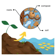 In contrast, this graphic shows how organic compost enriches the soil naturally. It improves soil structure and nutrient availability for plant roots without causing harm to the surrounding ecosystem, leading to healthier plants and a healthier planet.