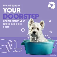 Imagine a professional grooming service pulling up to your home. I handle everything from the bath to the cleanup, turning a typically stressful errand into a convenient, at-home pet spa day.