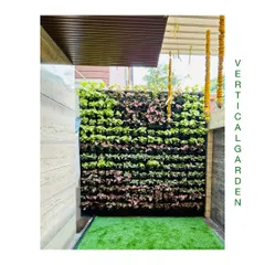This residential vertical garden is a perfect example of how we turn a blank wall into a living piece of art. We used a mix of Syngonium and other foliage plants with varied colors and textures to create a dynamic and beautiful feature.