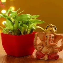 This thoughtful gift combo pairs a Lucky Bamboo plant, known for bringing good fortune, with a serene Ganesha idol. It's the perfect green gift for housewarmings, new beginnings, or festive occasions.