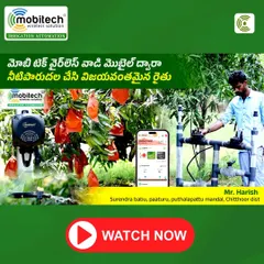 A 9-acre mango farm in Chittoor district growing multiple varieties, now effortlessly irrigated using our solar-powered, wireless valve control system.