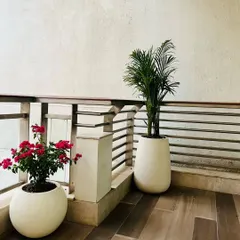 This corner of the balcony at DLF Camellias showcases a mix of flowering plants and palms in modern white planters, set against stylish wood-look flooring.