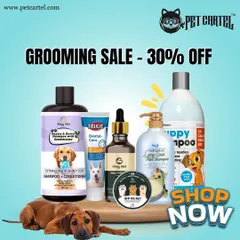 Keep your pet's coat shiny and their paws soft with our grooming essentials. This image displays a range of products like detangling shampoo, dental care gel, and hemp balm, all available in our store.