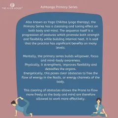 Also known as Yoga Chikitsa (yoga therapy), the Ashtanga Primary Series is a cleansing and toning sequence. Our course breaks down how this practice builds mental focus, physical strength, and frees the flow of prana (life force energy).