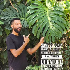 Be like a Monstera: be unique, be you. This leaf is a perfect example of nature's beautiful and intricate designs.