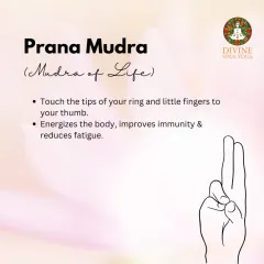 Prana Mudra is the Mudra of Life. Touching the tips of your ring and little fingers to your thumb helps to energize the body, improve immunity, and reduce fatigue.