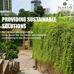 This cascading wall of green is a sustainable solution we implemented to enrich a city living space. This type of extensive green cover helps cool the surrounding area and positively contributes to the urban ecosystem.