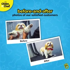 This is the kind of before-and-after that makes us love our job. We take pride in revealing the adorable face hidden under all that fur.