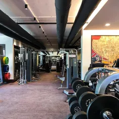 A view down the line of weight machines and dumbbell racks. The organization of the equipment was carefully planned to ensure a smooth and efficient workout flow.