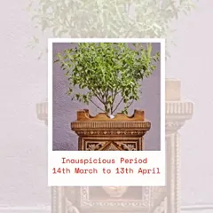 According to ancient wisdom, certain periods are considered inauspicious for new beginnings. During such times, focusing on simple rituals like worshipping a Tulsi plant can maintain positive energy in your home.