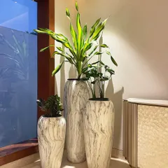 We love creating unique corner clusters. This trio of tall, marble-finish planters houses a Dracaena and other indoor plants, transforming an empty corner by the window into a sophisticated design feature.