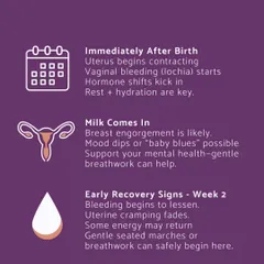 This graphic details the first two weeks of postpartum recovery, explaining what happens immediately after birth with uterine contractions and hormonal shifts, and what to expect as your energy slowly returns.