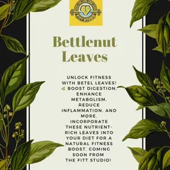 A closer look at the benefits of Betel Leaves. This graphic highlights how these nutrient-rich leaves can be a natural boost for your fitness journey, supporting everything from digestion to energy levels.