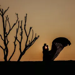 A classic sunset silhouette. The bare tree adds a dramatic, artistic element to this romantic pre-wedding photograph, emphasizing the couple's embrace.