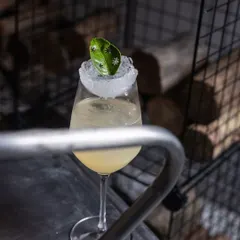 My Bella Signora mocktail, beautifully presented with a delicate leaf garnish on a bed of crushed ice. It’s a visually stunning drink that tastes as good as it looks.