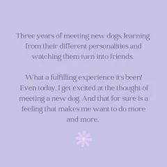 A reflection on three years of learning from different dog personalities and watching them turn into friends. This feeling is what makes me want to do more and more.