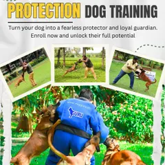 Beyond basic obedience, I specialize in advanced skills like protection training. This image shows how we channel a dog's natural instincts into becoming a fearless protector and a loyal guardian, unlocking their full potential in a controlled and safe manner.