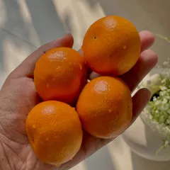 I believe in using the freshest ingredients. Here are some beautiful, juicy oranges, ready to be turned into a delicious, seasonal cake flavor.