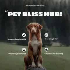 We are a Pet Bliss Hub, offering everything your pet needs to flourish. This includes veterinary excellence, supreme supplements, professional grooming, and even luxurious pet boarding.