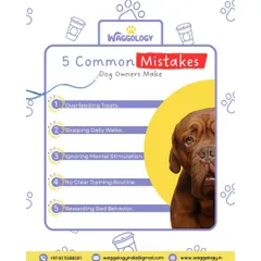 We all make mistakes, but being aware of them is the first step to becoming a better pet parent. This graphic lists five common mistakes, such as overfeeding treats and ignoring mental stimulation, to help you get on the right track.
